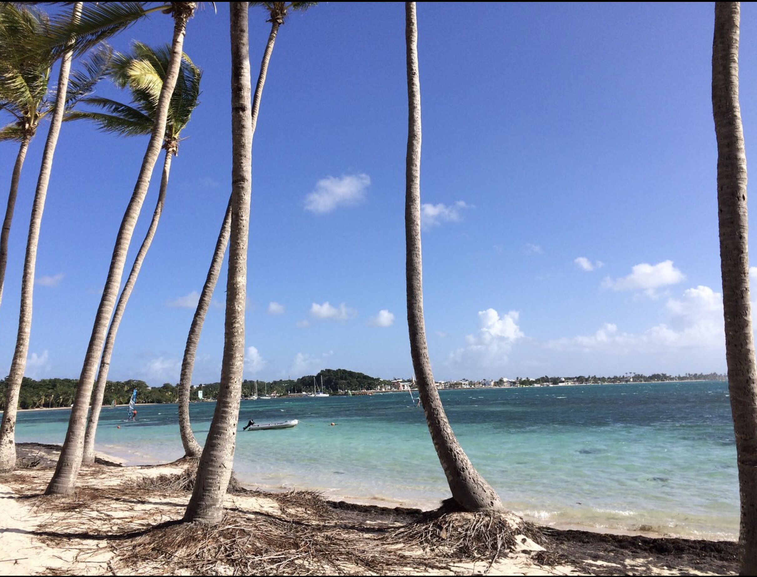 A beach with palm trees, clear blue water, and a distant shoreline with buildings.