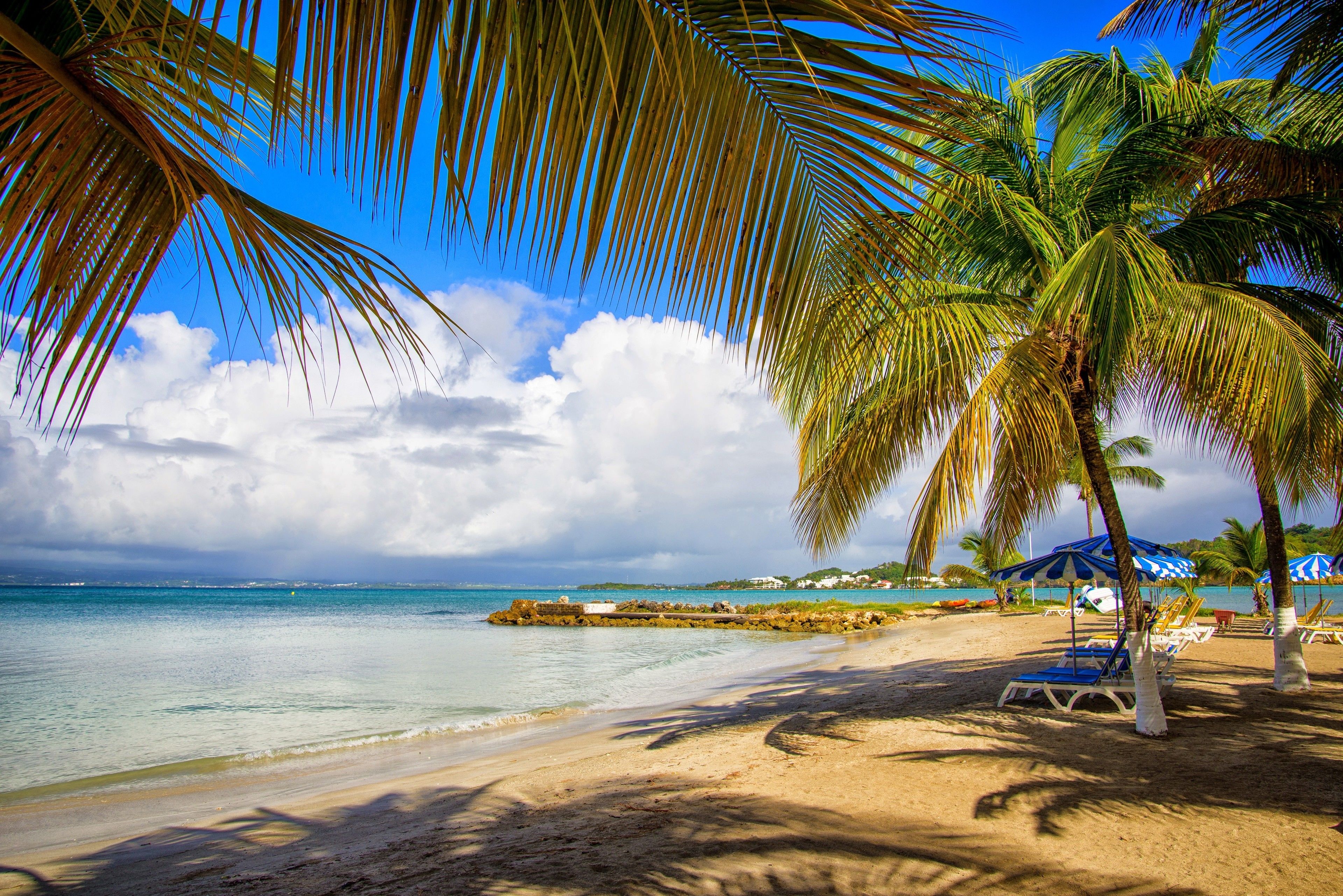 Una playa con palmeras, agua azul cristalina y una orilla arenosa.