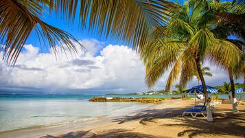 Una playa con palmeras, agua azul cristalina y una orilla arenosa.