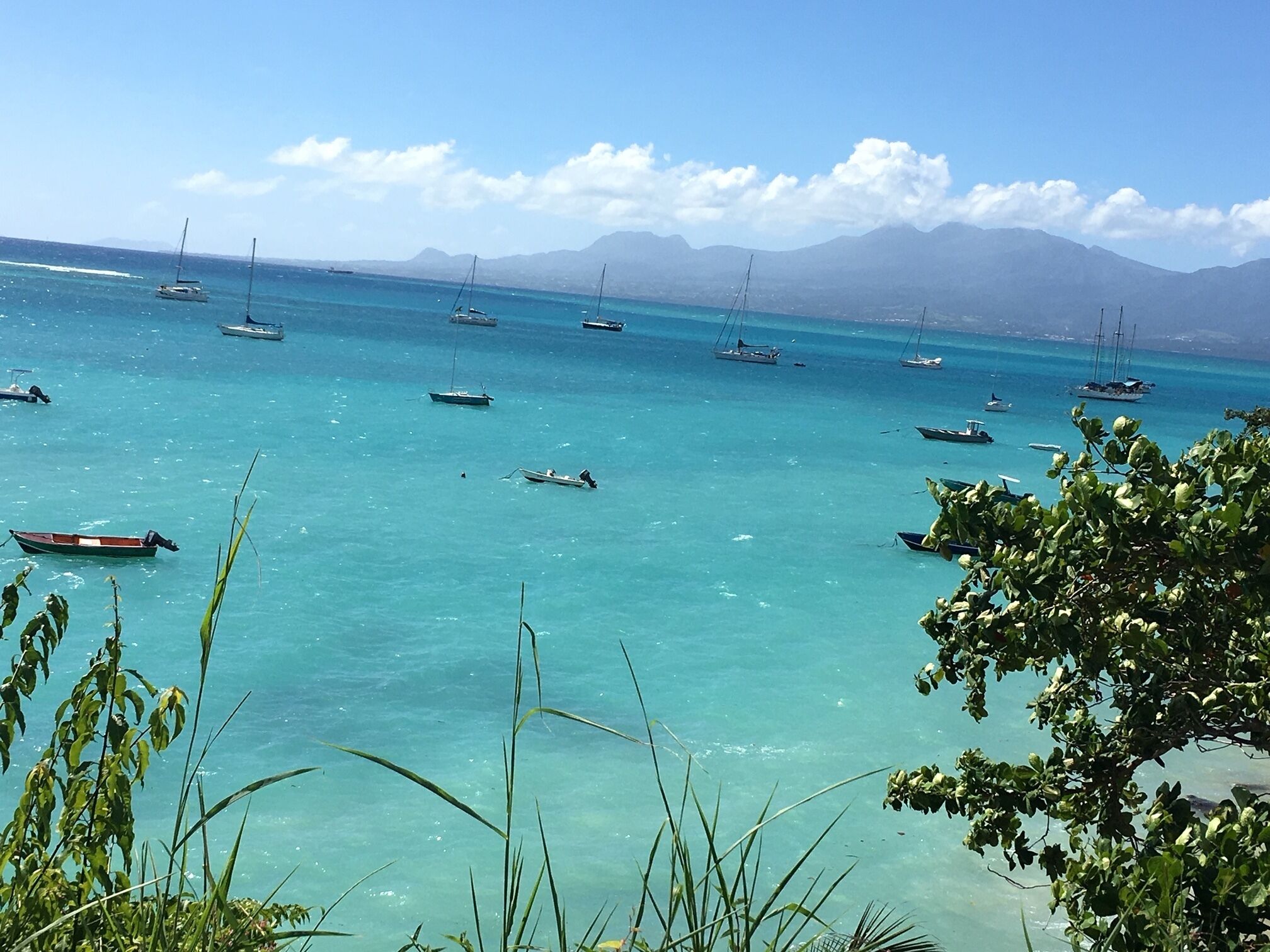 Foto - Canella Beach Hotel