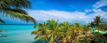 Een strand met palmbomen, een helderblauwe lucht en een rustige zee.