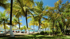 Una playa con palmeras, tumbonas y sombrillas.