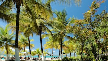 Private beach, sun loungers, beach umbrellas, beach towels