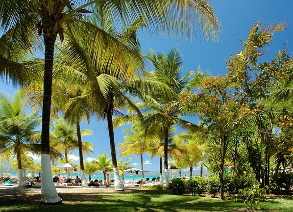 Praia particular, espreguiçadeiras, guarda-sóis, toalhas de praia 