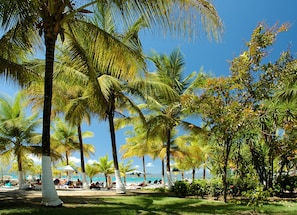 Private beach, sun loungers, beach umbrellas, beach towels