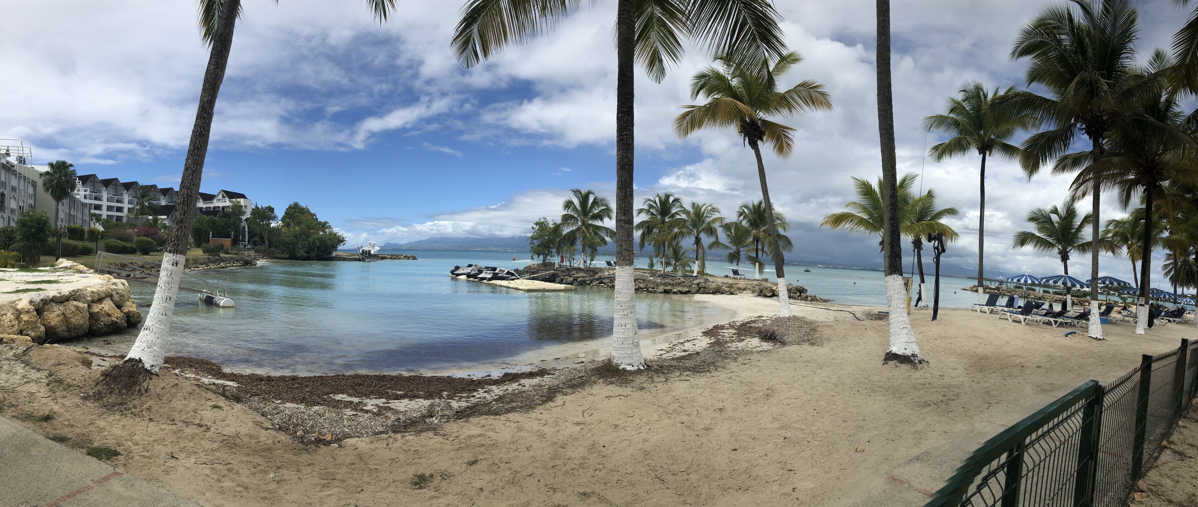 A beach with palm trees, a sandy shore, and a body of water.