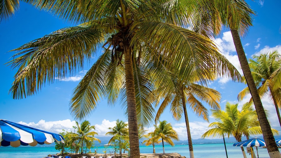Canella Beach Hotel