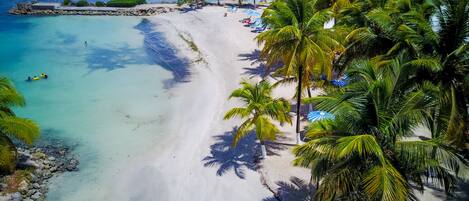 A beach with clear turquoise water, white sand, and palm trees.