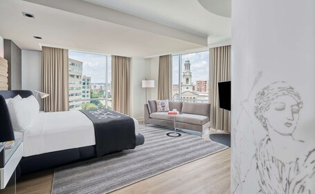 Hotel Zena Washington DC - Image 4