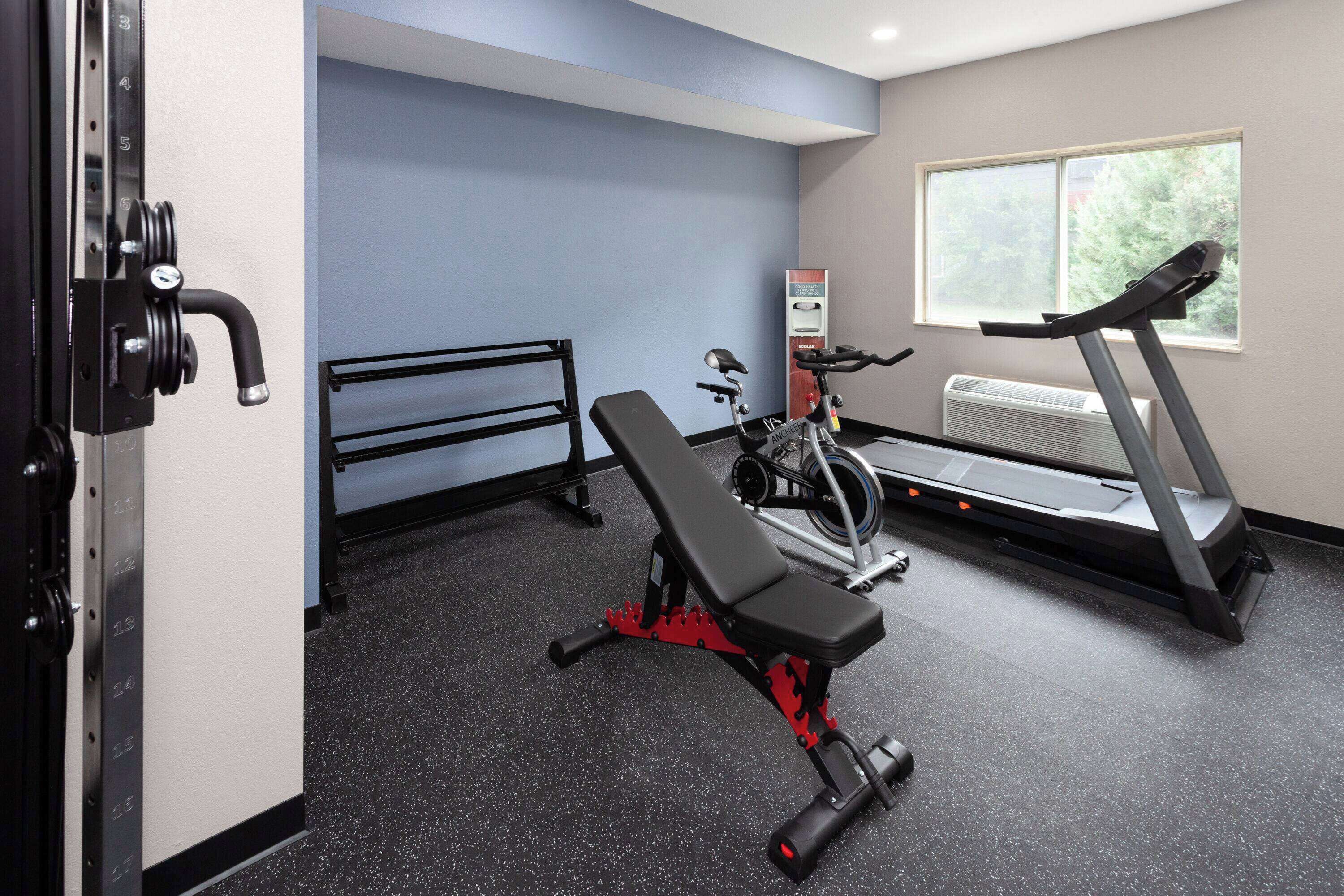 A gym with a bench press, a treadmill, and a wall-mounted weight rack.