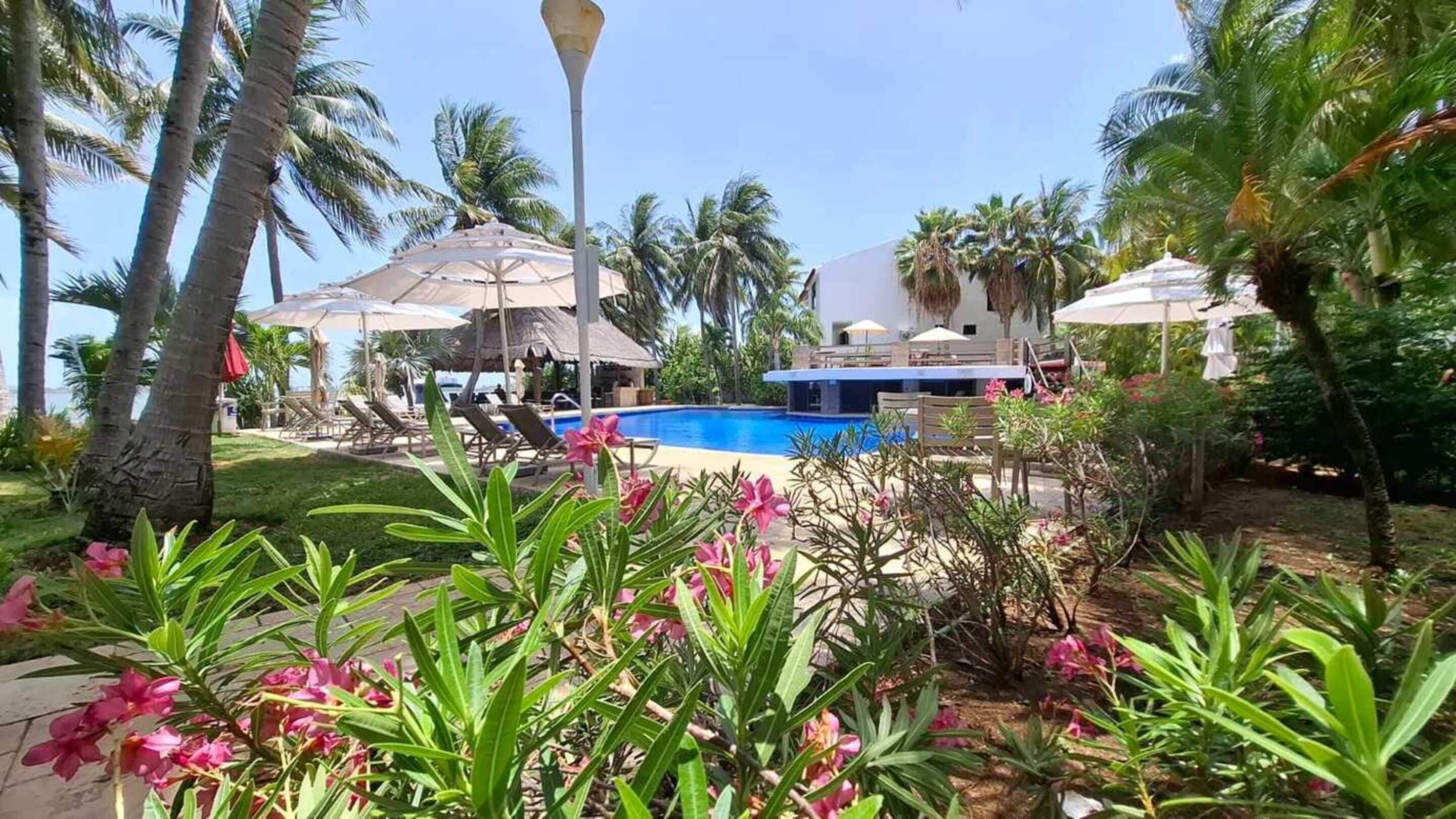 Un área de piscina con sillones de descanso y sombrillas, rodeada de palmeras y plantas tropicales.