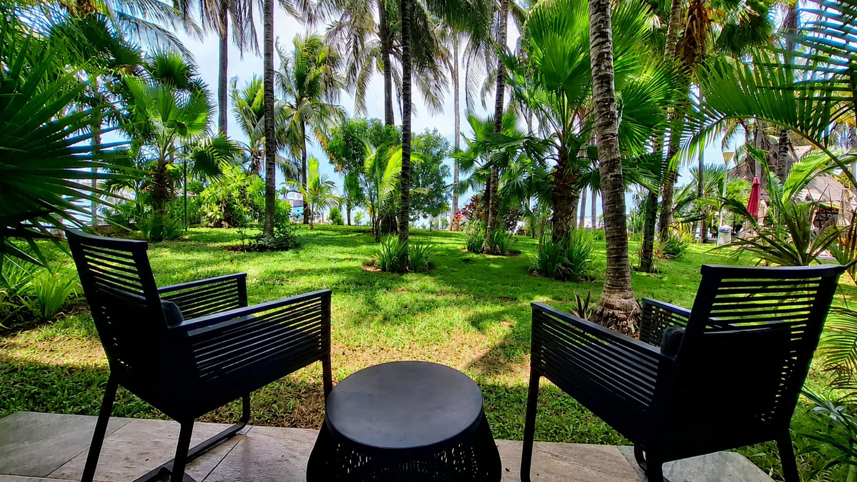 Two black chairs and a small round table in a lush garden with tall palm trees.