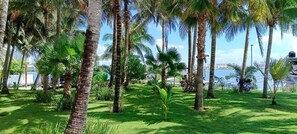 Luxury Junior Suite Lagoon View  | 20 bedrooms, premium bedding, down comforters, pillowtop beds