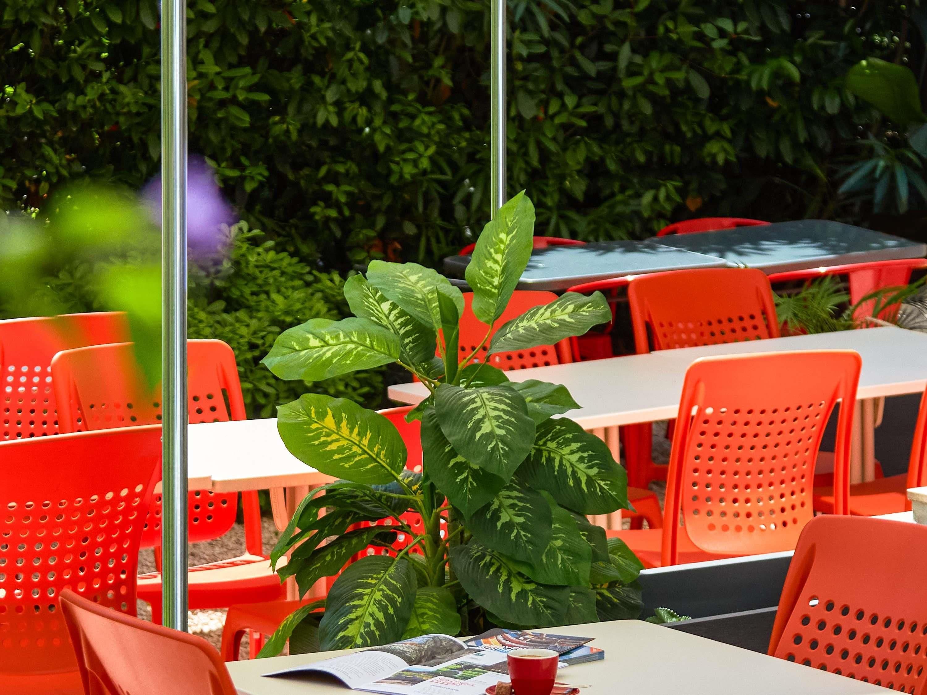 A restaurant with outdoor seating, red chairs, and a large green plant in the center.