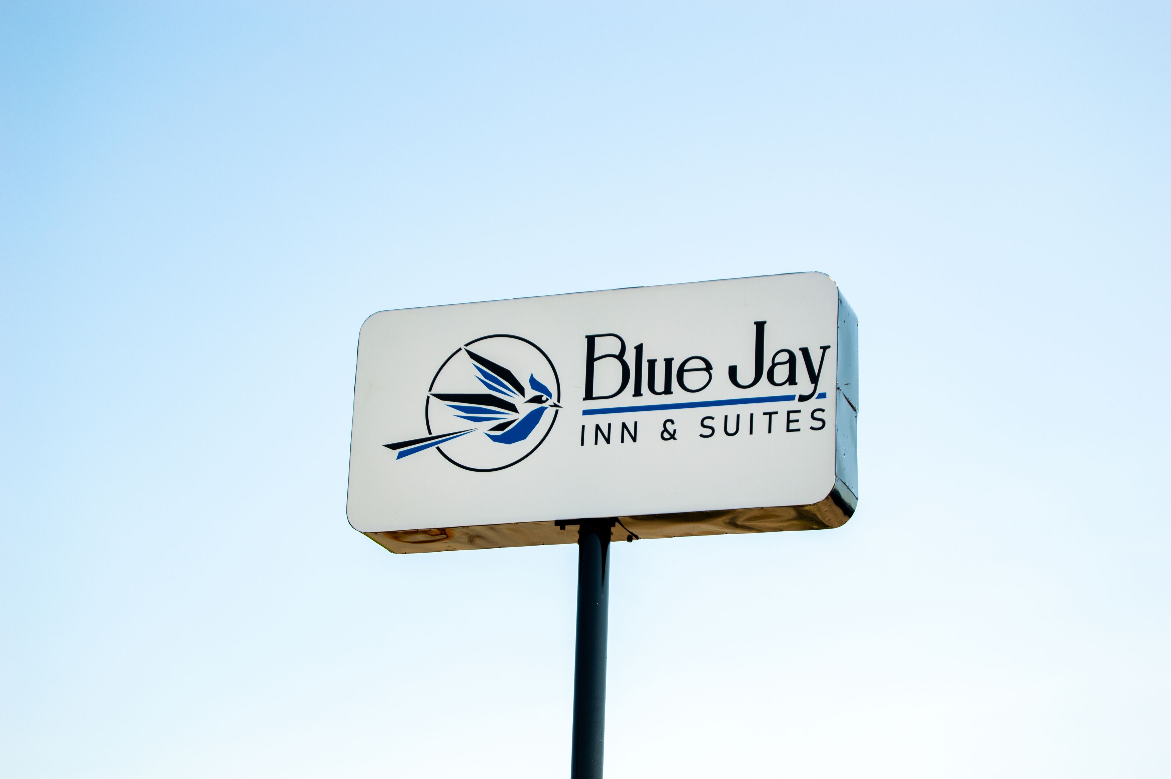 Señal de Blue Jay Inn & Suites con un logotipo que presenta un pájaro y una pluma.