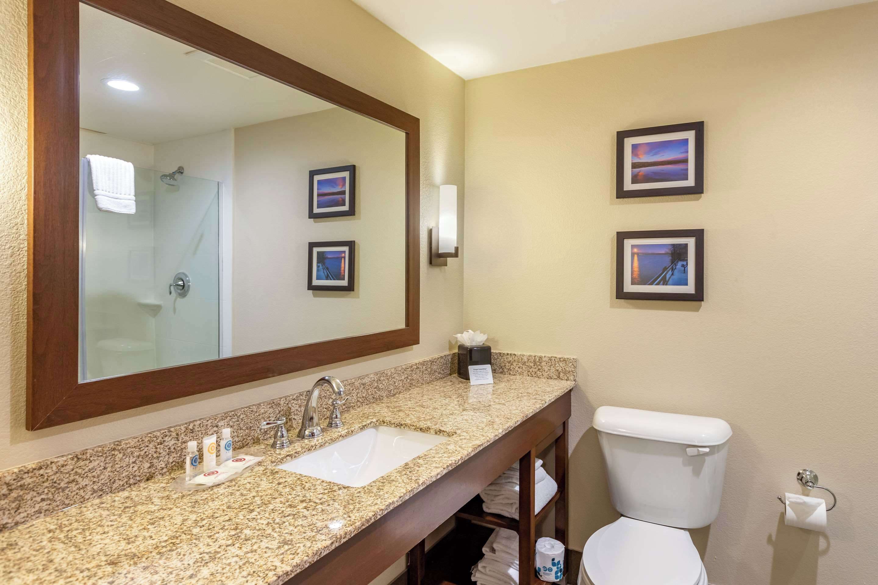 Foto - Comfort Suites Near Denver Downtown