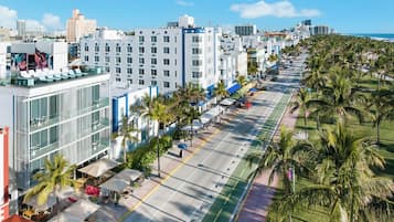 A coastal cityscape with modern buildings, a wide street lined with palm trees, and outdoor seating areas.