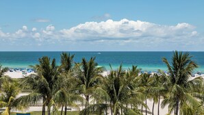 A beach with palm trees, a clear sky, and the ocean. - Park Central South Beach (Miami Beach)
