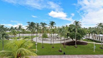 A landscaped area with palm trees, a circular plaza, and a paved walkway.