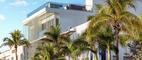 A modern building with multiple floors, large windows, and a glass balcony. Palm trees are in the foreground.