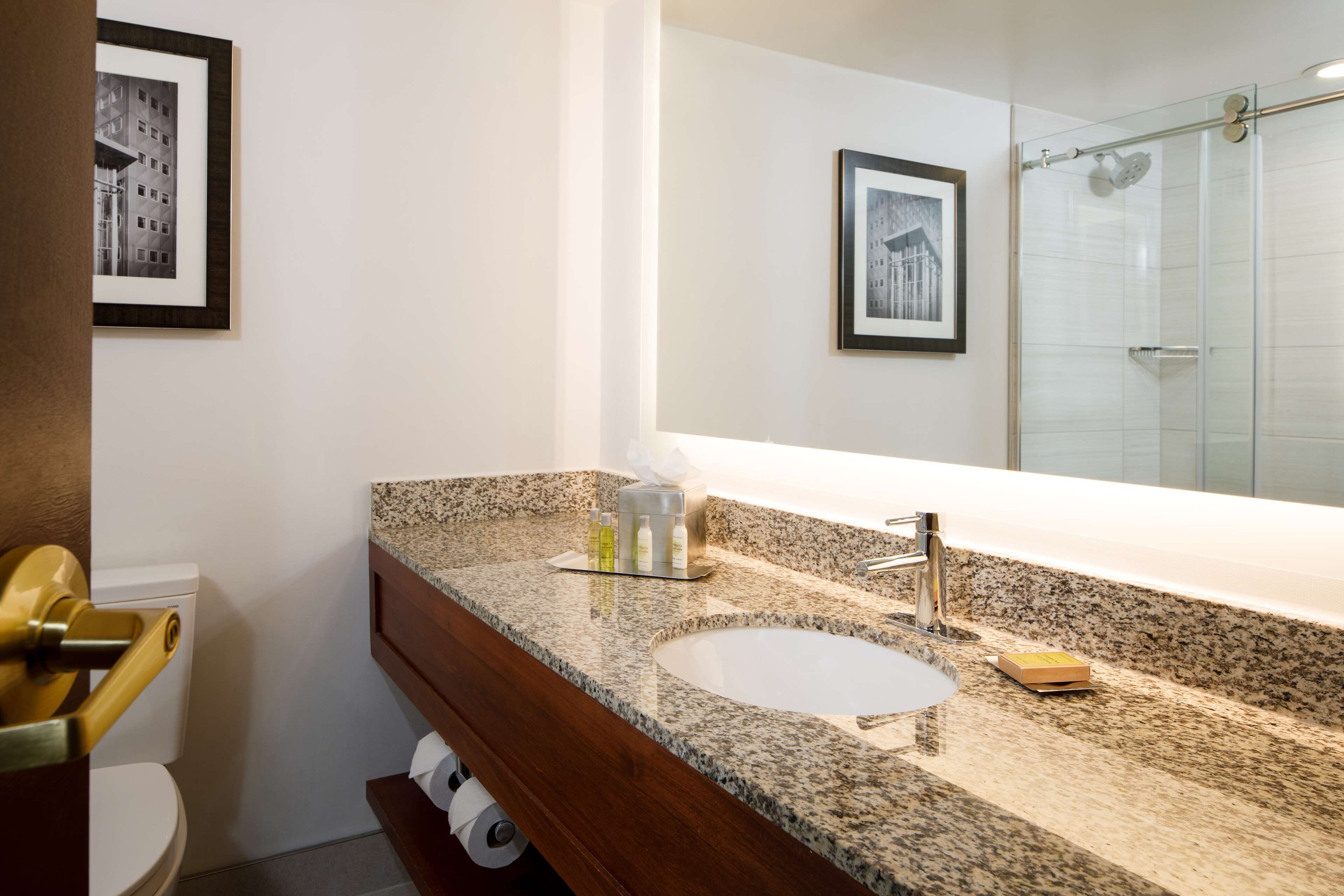 Un bagno con top in granito, lavandino, specchio e doccia.