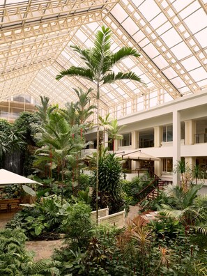 Interior - Dusit Thani Pattaya (Pattaya)