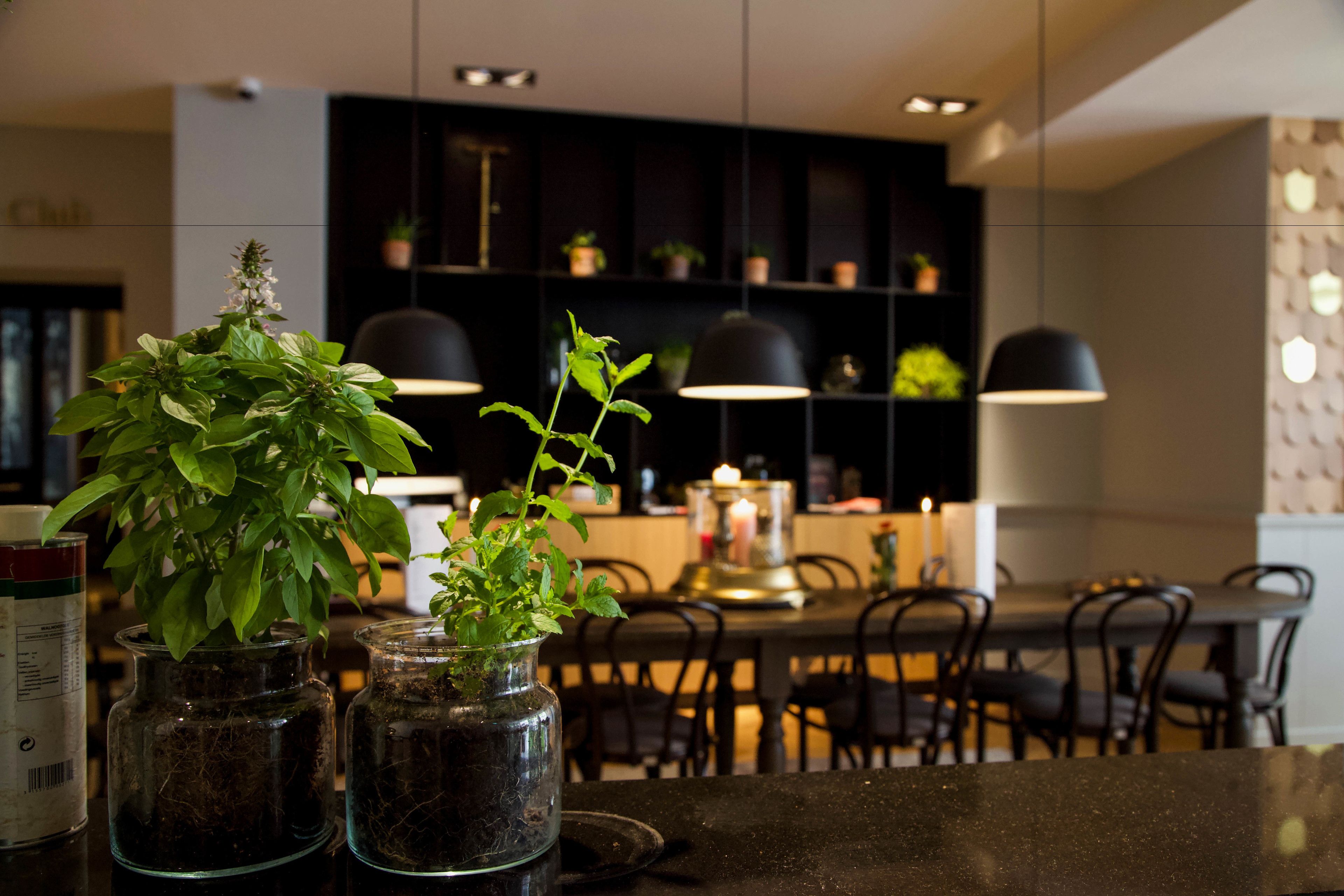 Une cuisine moderne avec deux plantes en pot sur le plan de travail, un coin repas avec des chaises et des luminaires suspendus.