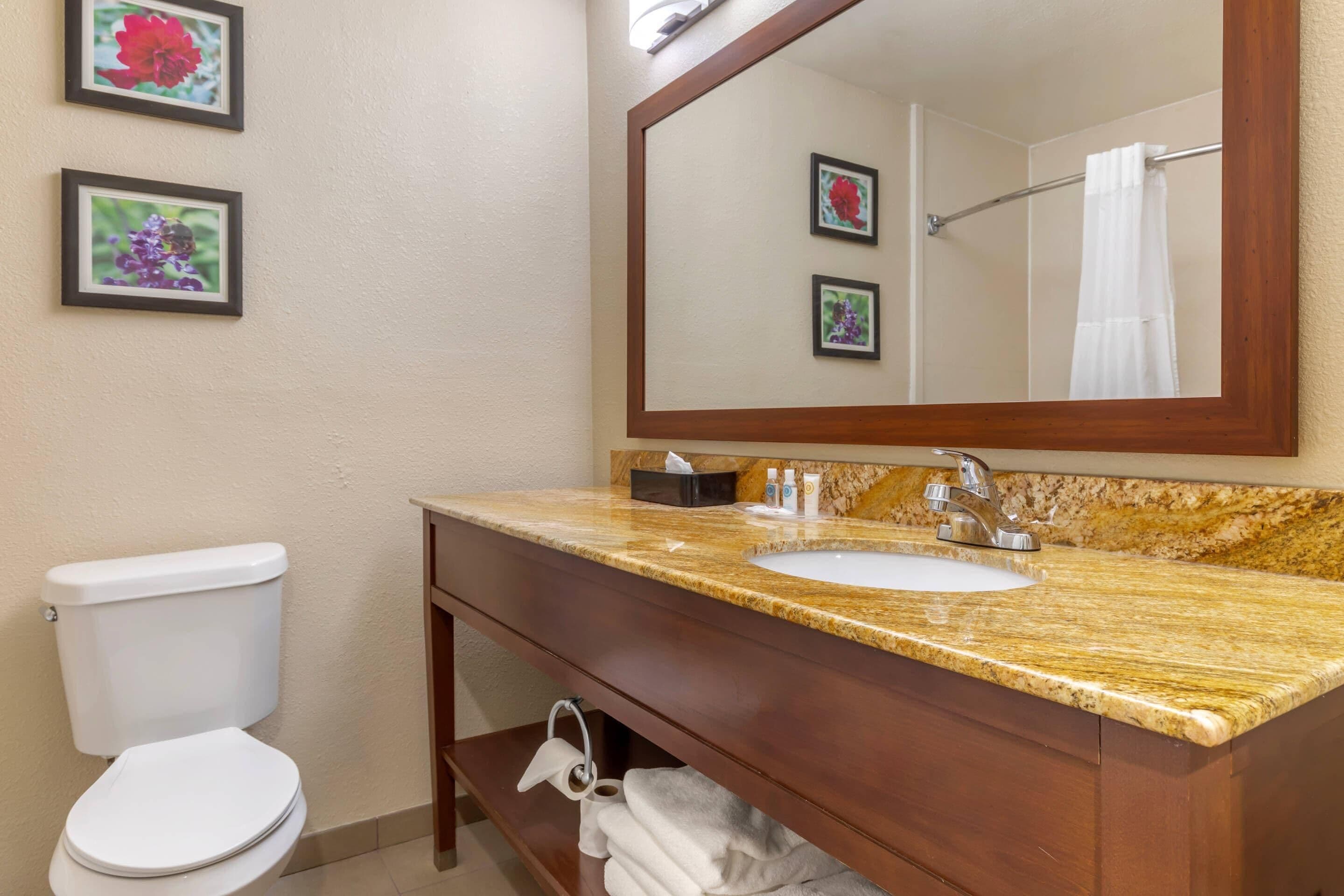A bathroom with a toilet, sink, mirror, and towel rack.