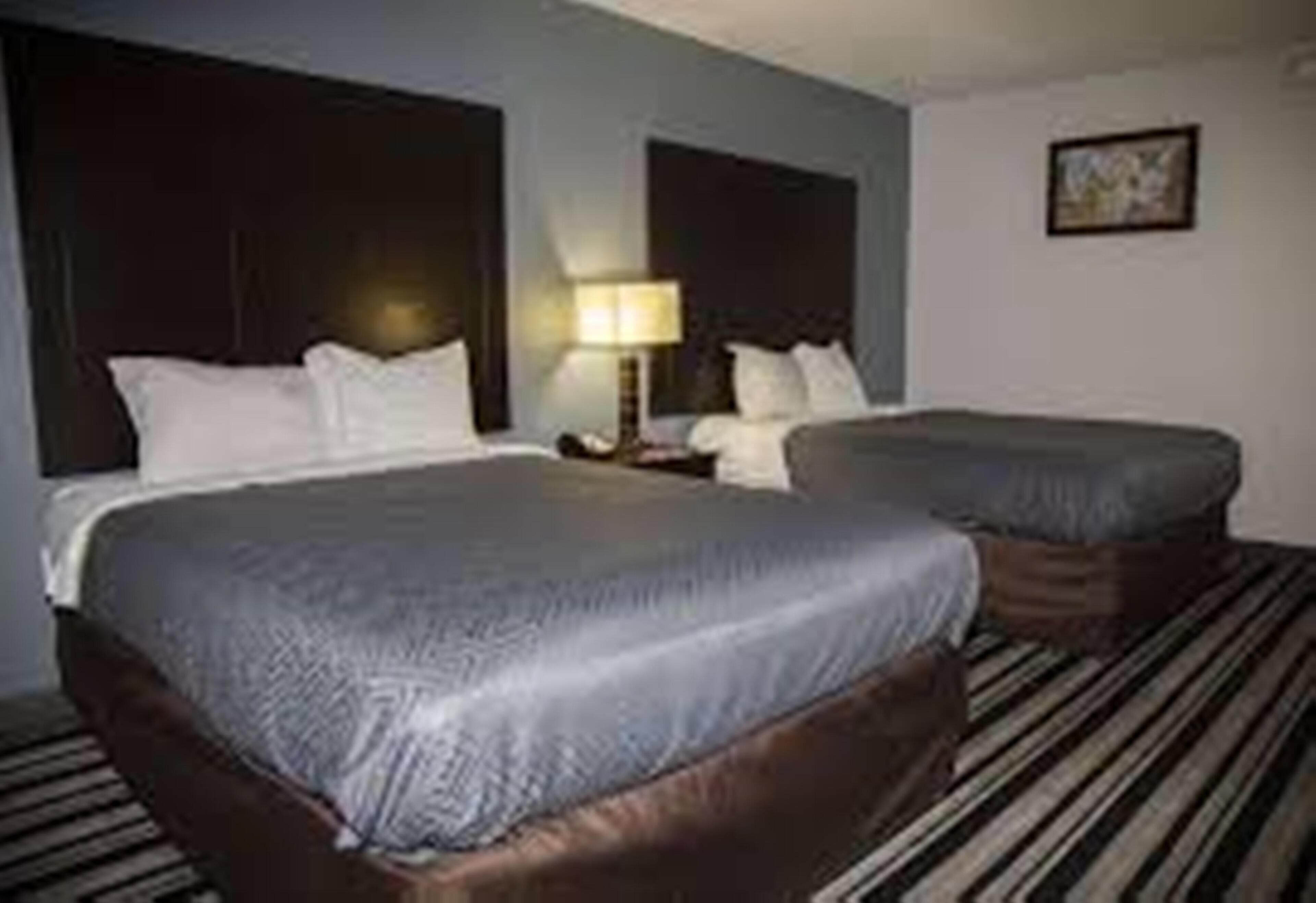 A hotel room with two beds, a nightstand with a lamp, a striped carpet, and a framed picture on the wall.