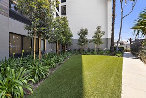 A well-maintained outdoor area with a neatly trimmed lawn, various plants, and a modern building facade.