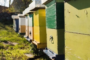 A row of beehives painted in various colors, with a metal latch on one of them. - ibis Paris Nord Villepinte parc des Expositions (Villepinte)