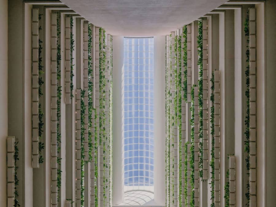 Un pasillo con columnas verticales y plantas colgantes, que conduce a un amplio ventanal al final.