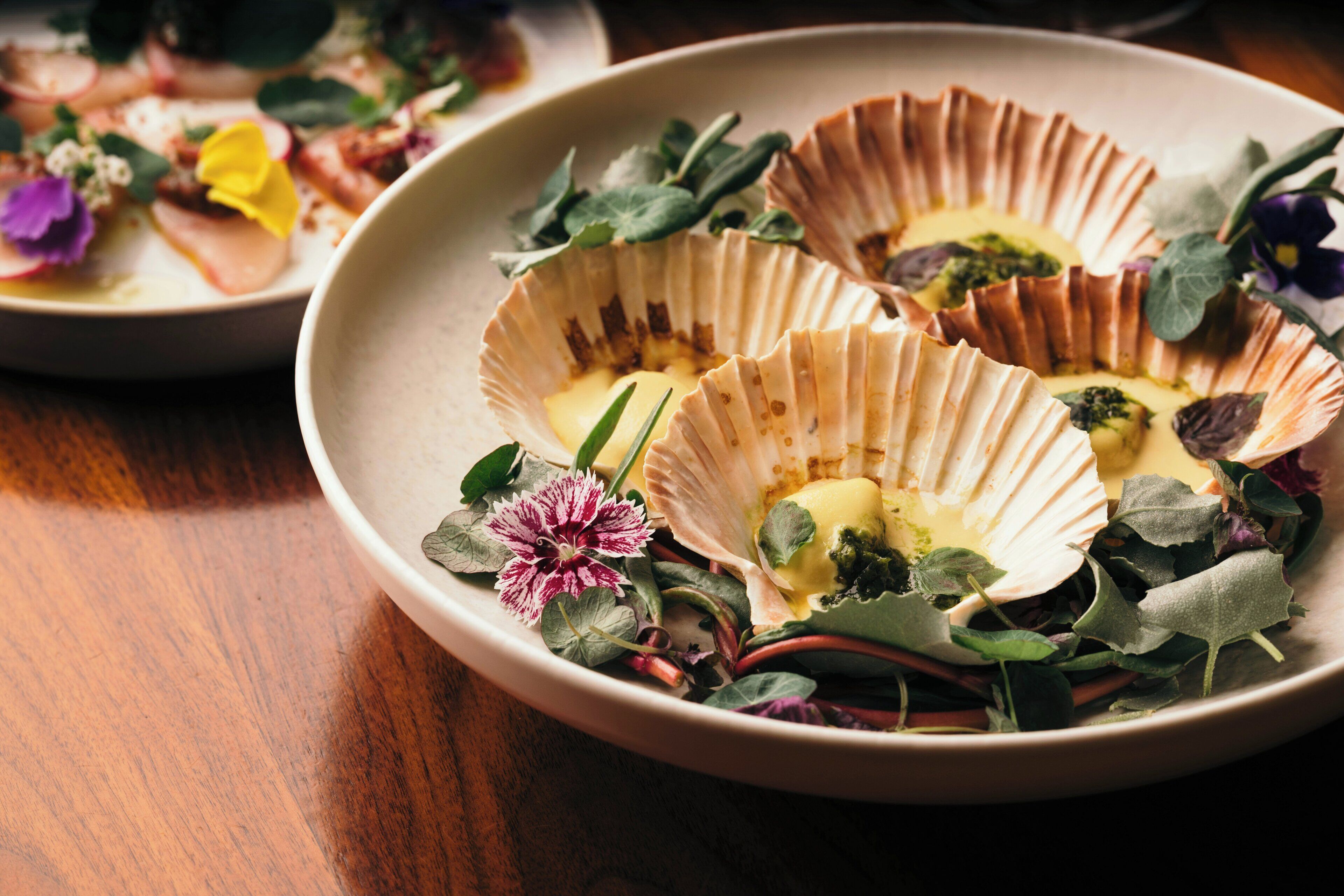 A plate with scallop shells, greens, and a flower.