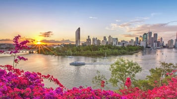 A city skyline with a river, boats, and flowering plants.
