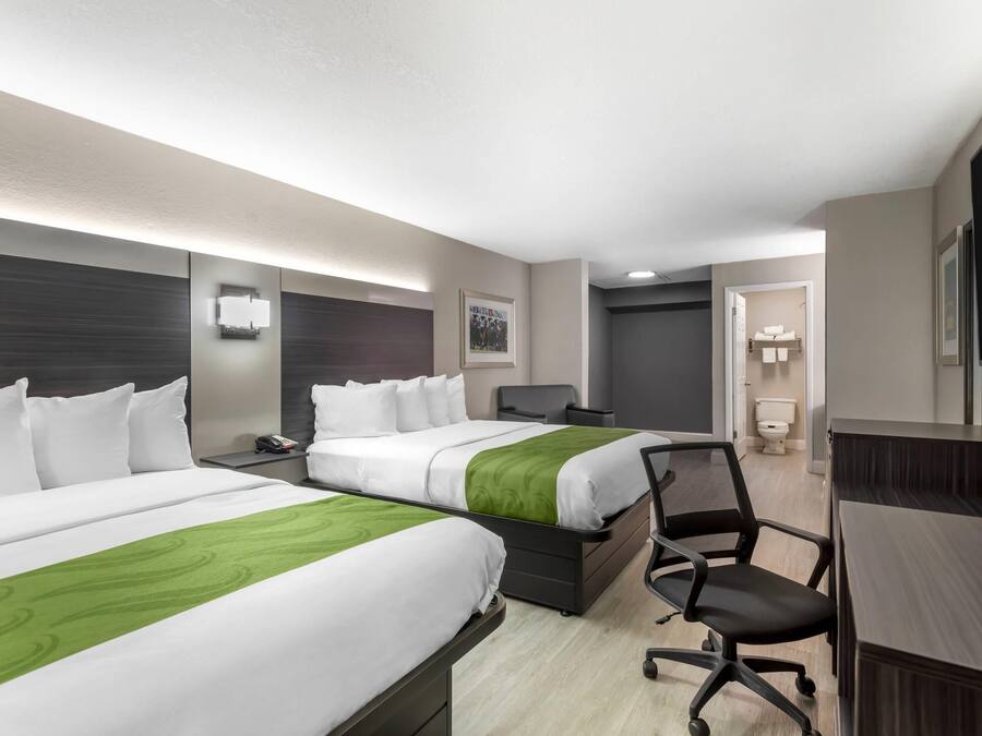 Escritorio, cortinas opacas, tabla de planchar con plancha y wifi gratis