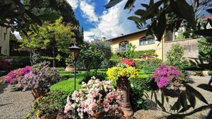 Um jardim com vasos de plantas e um poste de luz.