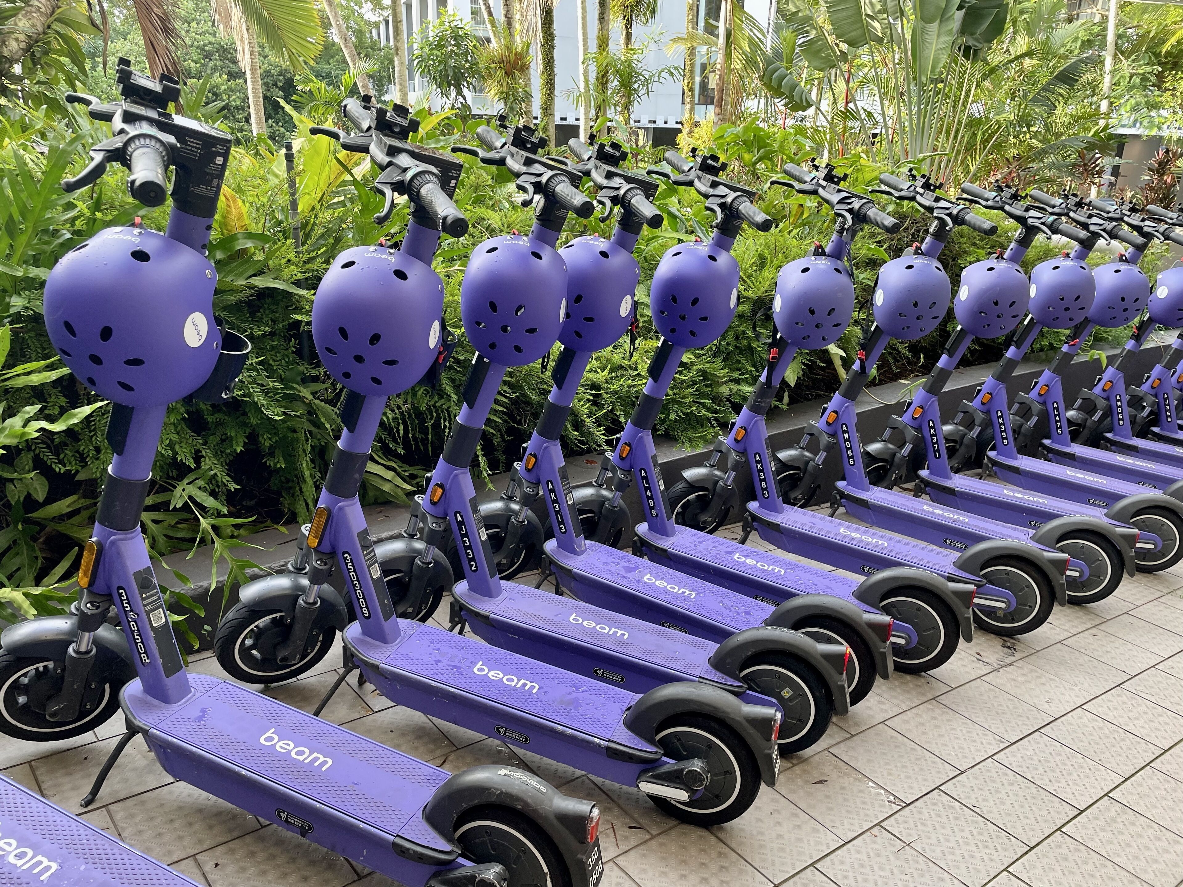Una fila de scooters eléctricos morados con la marca 'beam', estacionados al aire libre con follaje de fondo.