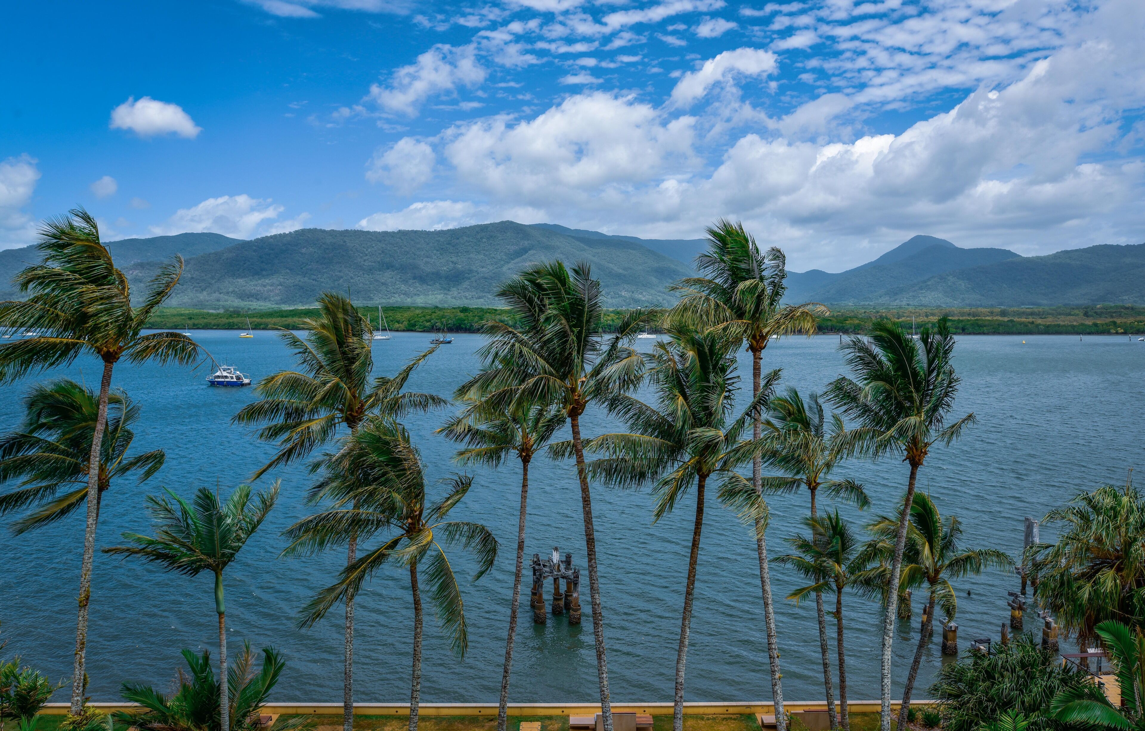 A tropical beach with palm trees, a body of water, and mountains in the background.