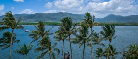 A tropical beach with palm trees, a body of water, and mountains in the background.