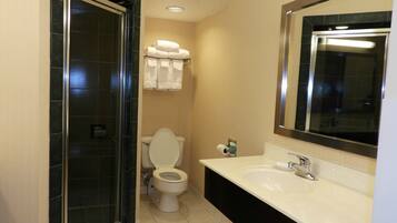 Combined shower/tub, free toiletries, hair dryer, towels