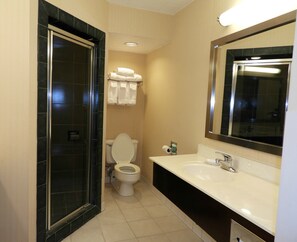 Combined shower/tub, free toiletries, hair dryer, towels