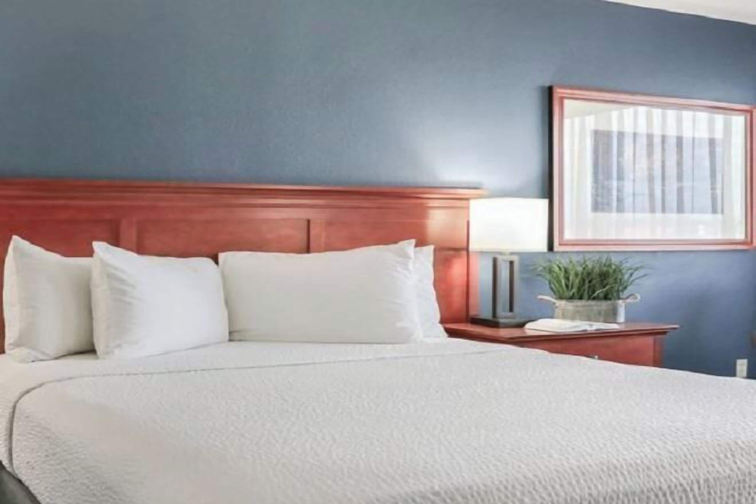 Sábanas de algodón egipcio y ropa de cama de alta calidad 