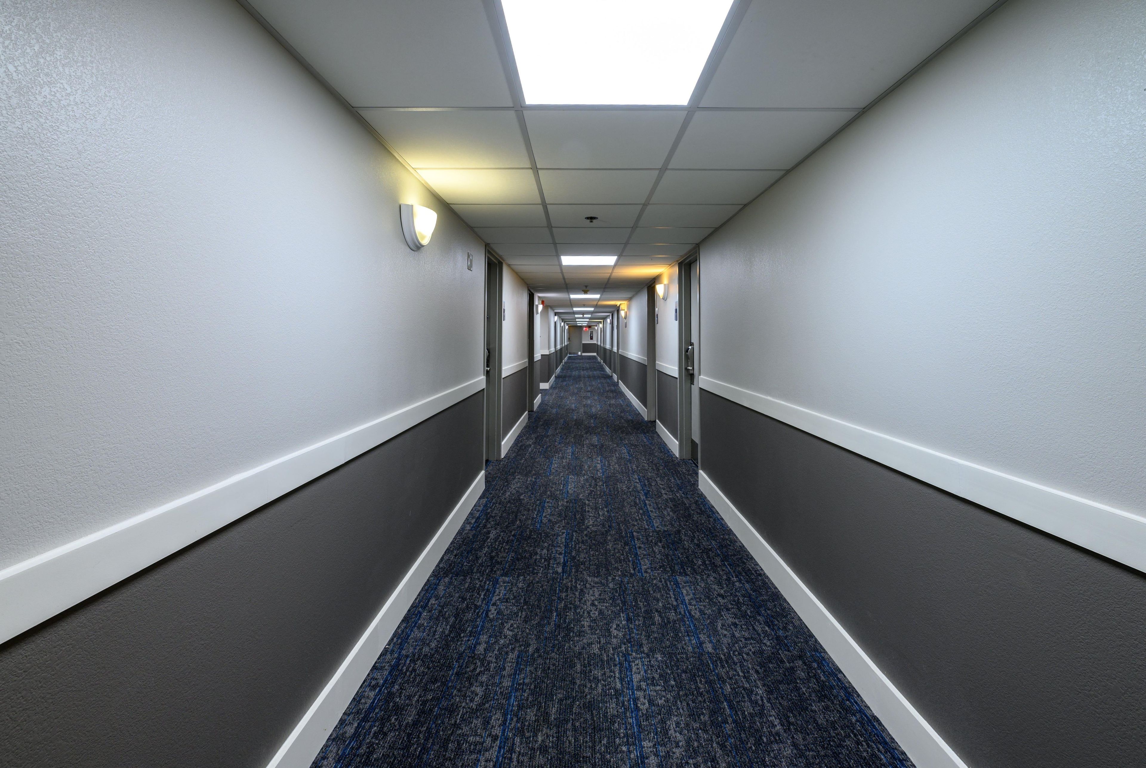 A hotel corridor with a carpeted floor, doors on both sides, and overhead lighting.