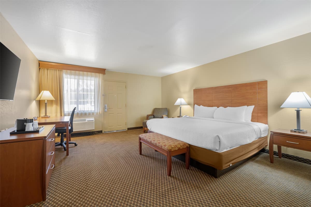 Room, 1 King Bed, Non Smoking, Refrigerator & Microwave