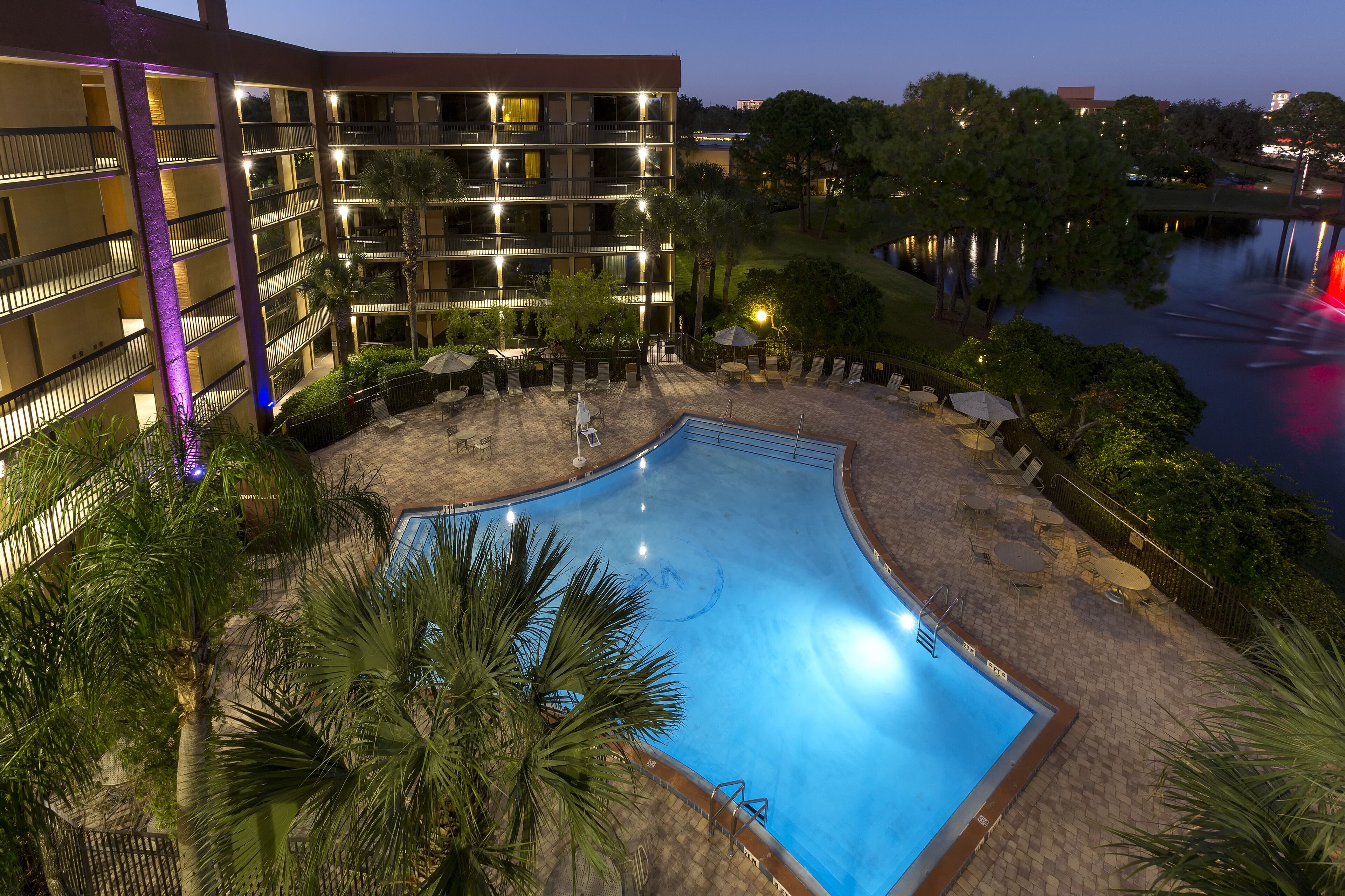 Un hotel con piscina rodeado de palmeras y vistas a un cuerpo de agua.