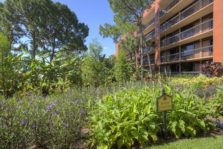 Rosen Inn Lake Buena Vista - Image 36