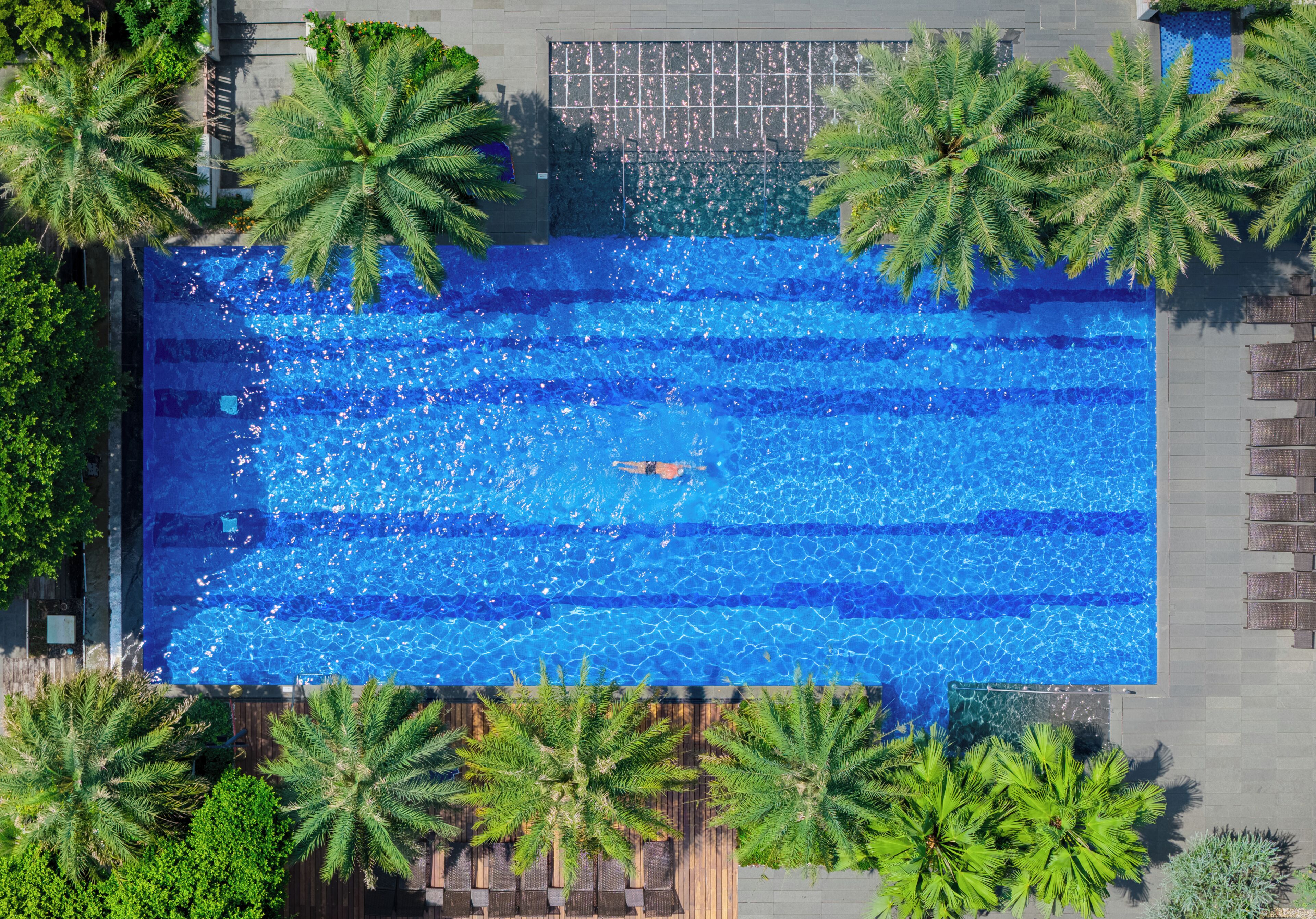 Une vue aérienne d’une piscine rectangulaire entourée de palmiers, avec une terrasse en bois et des chaises longues disposées le long du bord de la piscine.