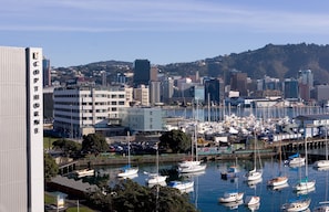 Pemandangan dari properti