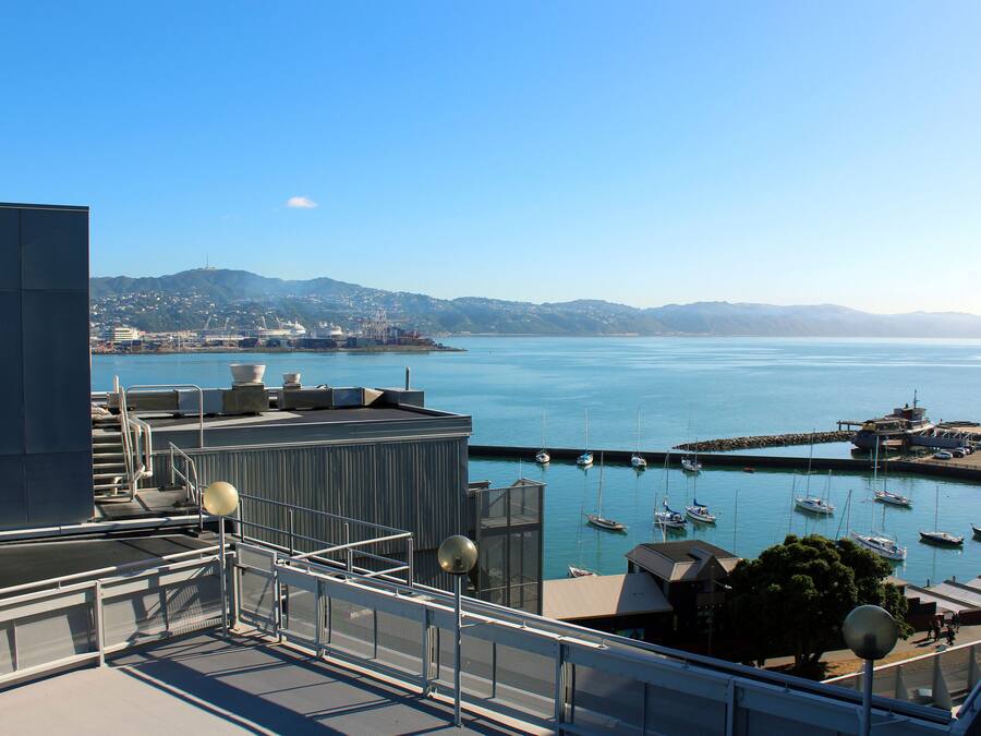 Vista des de l'habitació