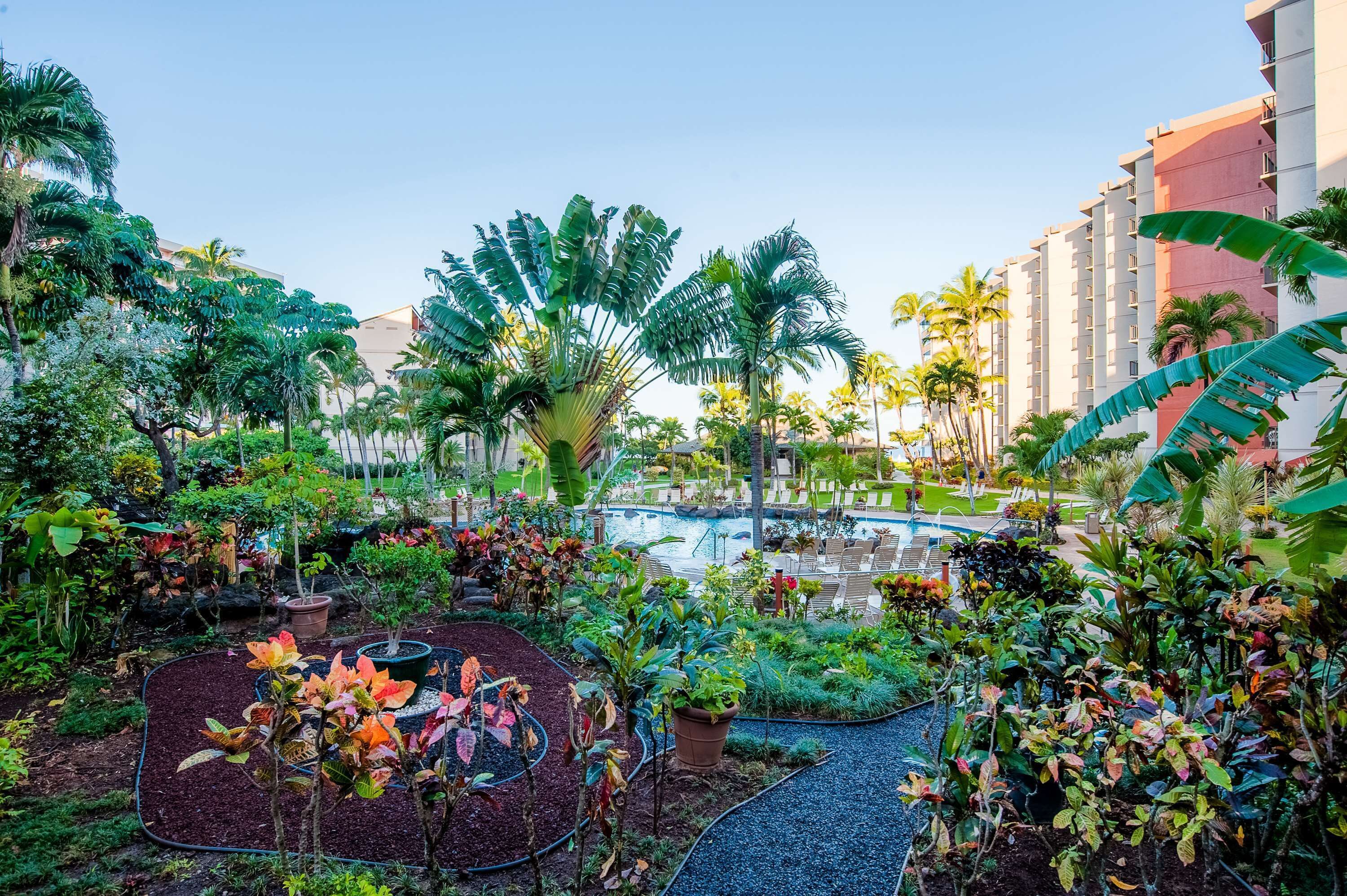 Un exuberante jardín con diversas plantas y una zona de piscina.